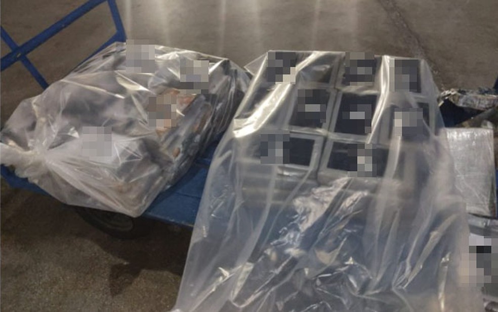 Meia tonelada de cocaína encontrada em avião no Aeroporto Internacional de Salvador