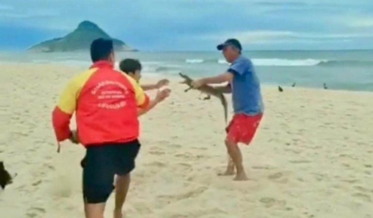 Homem usa jacaré para ameaçar pessoas durante briga em praia do RJ
