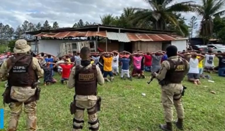Polícia fecha rinha e apreende 22 galos em Eunápolis