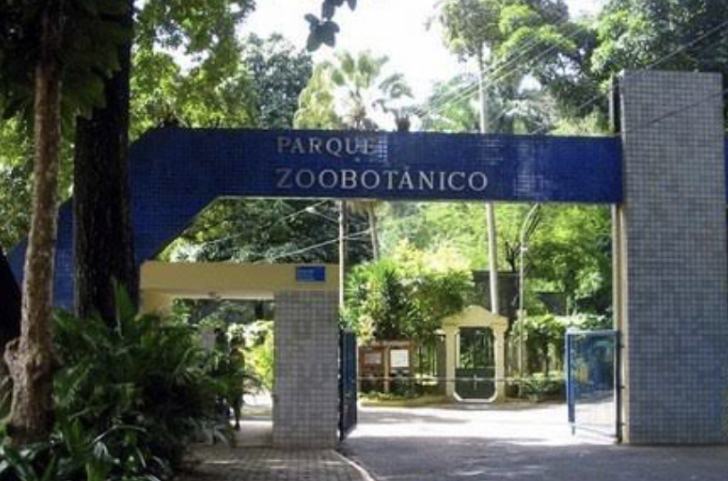 Governo atualiza decreto e exige comprovante de vacinação contra Covid-19 em zoológicos e escolas da rede estadual na Bahia