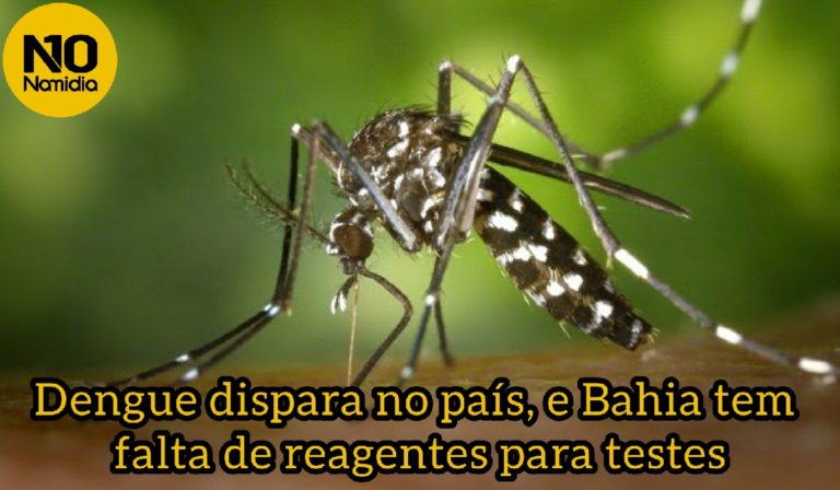 Dengue dispara no país, e Bahia tem falta de reagentes para testes