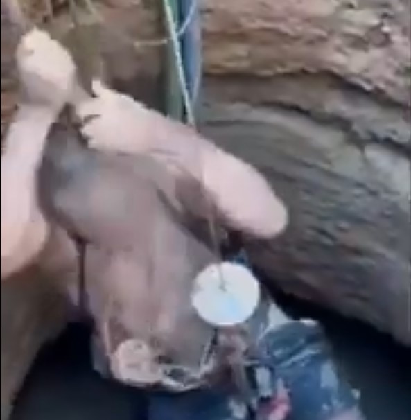 VÍDEO: Homem é resgatado após cair em uma cisterna em MG