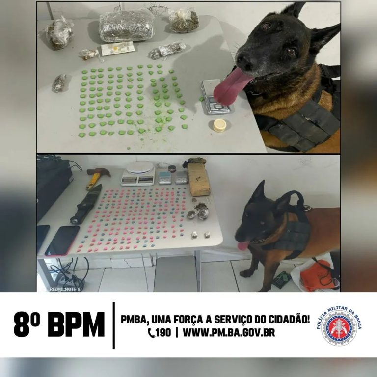 Cães policiais da PM auxiliam na apreensão de drogas em Porto Seguro