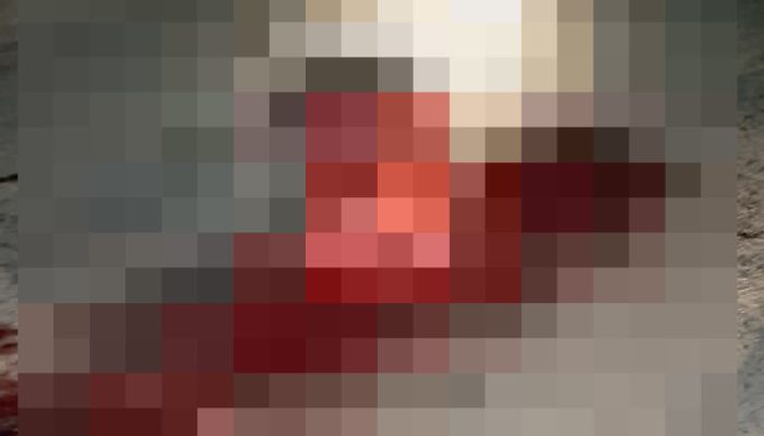 1002262627