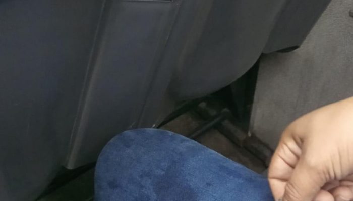 IMG_20251117_071545_285