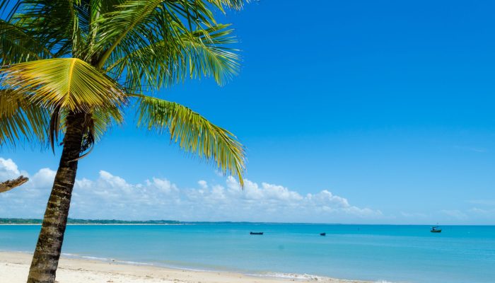 praia-paradisiaca-na-bahia-2048x1357